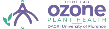 Ozone-Plant-Health